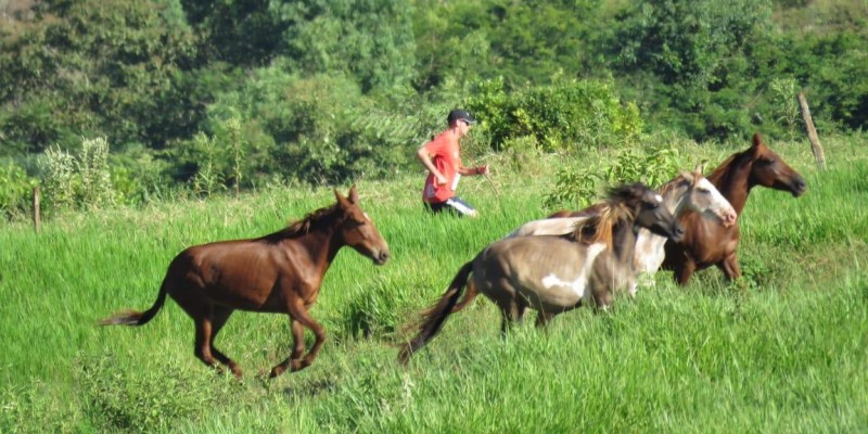 Segue vídeo do 1a Cross Country Maringá 2019