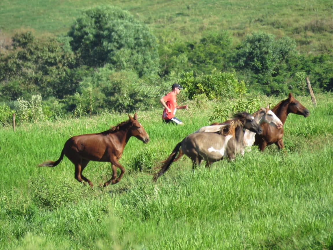 Segue vídeo do 1a Cross Country Maringá 2019
